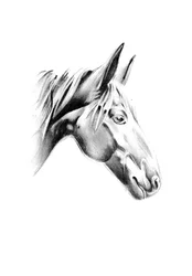 Profil for Noble Horse