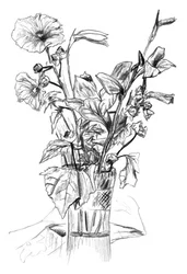Blomsterstilleben tegnet med blyant
