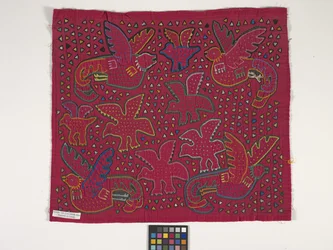 Skjortepanel (Mola) (bilde)