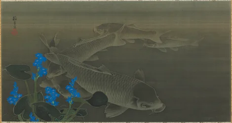 Karpe, Edo-periode, tidlig 1800-tall.