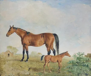 Mr. Youngs hester, Benjamin og Lambert Marshall (olje på lerret)