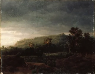 En skog