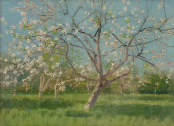 Frukthagetrær i blomst, 1900-10