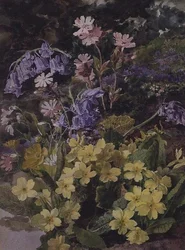 Studie av blomster