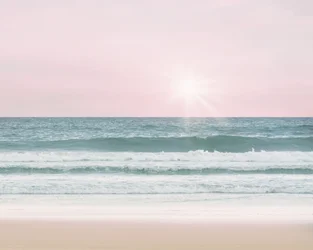 Rosa strand, ca. 2017 (fotografi)