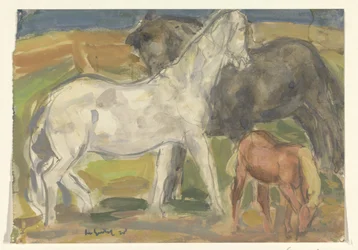 To hester og et føll i et landskap