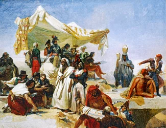 Ekspedisjon til Egypt under ordre fra Napoleon Bonaparte. Signert 1835 ...