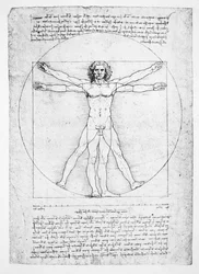 Proporsjonene til den menneskelige figuren (etter Vitruvius), ca. 1492 (faksimile)
