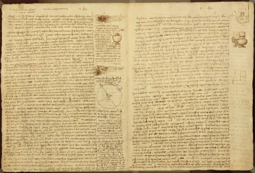 En side fra Codex Leicester, 1508-12 (sepia blekk på linpapir)