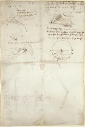 Arundel 263, f.126v Tre notater og skisser på vann; et diagram over fuglenes flukt, ca. 1500-5 (penn og blekk på papir)