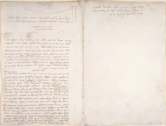 Arundel 263, f.166v, f.163 Notater og diagrammer om fuglenes flukt, fra 