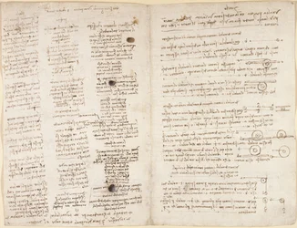 Arundel 263, f.42v, f.43 Korte tekster av Leonardos profetier (