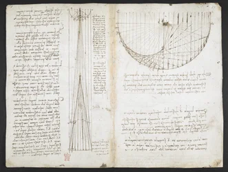 Arundel 263, f.87r Studies of reflections from concave mirrors, from the 