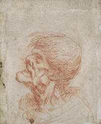 Caricature Head Study of an Old Man, ca. 1500-05 (rødt kritt på papir)