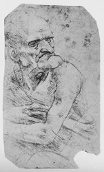 Halvlang karikatur av en gammel mann med en fremtredende hake, c1480 1945
