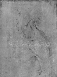 Head and Bust of an Old Man to the Venstre, c1480 1945