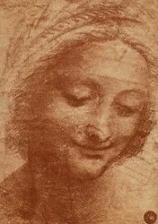 En kvinnes eller den hellige Annas hode, tegning av Leonardo da Vinci, studie til den hellige Annas hode i Leonardos maleri Madonna med barnet og den hellige Anna, nå i Louvre. Tegningen oppbevares i Gallerie dell