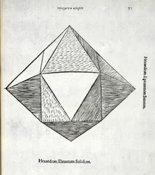 Hexaedron elevated solidus, illustrasjon fra 