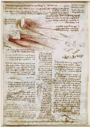 Leonardo da Vinci - RCIN 912660, Studier av vann ca. 1510–1512, 745082-1634741785