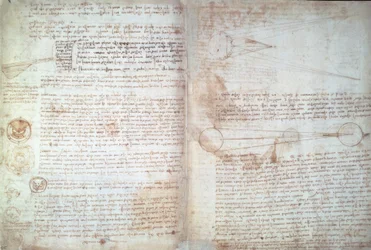 Leonardo da Vinci, sider fra Cod. Hammer