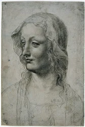 Maestro della Pala Sforzesca (milanesisk elev av Leonardo da Vinci), kvinnelig hode med slør kanskje en studie for jomfruen, GDSU 426 E