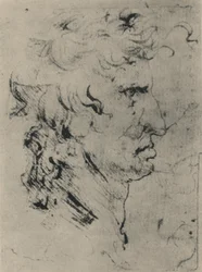 Profil av en mann til høyre, c1480 1945