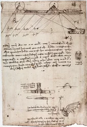 Studie for en marin mudre av Leonard de Vinci (Leonardo da Vinci) (1452 - 1519). Tegning med penn og blekk.