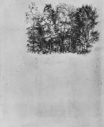 Study of a Coppice, c1480 1945