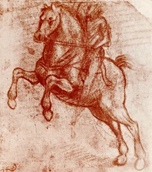 Studie av en ridder, av Leonardo De Vinci, 1913