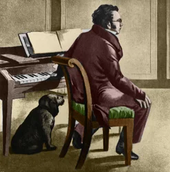 Portrett av den østerrikske komponisten Franz Schubert