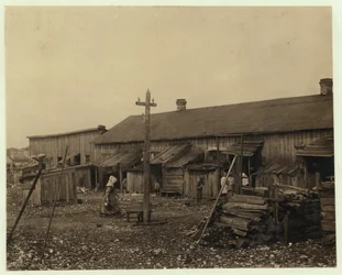 Boliger for rundt 50 ansatte i Maggioni Canning Co., Port Royal, Sør-Carolina, omgitt av myrland og på en gammel skjellhaug, 1912