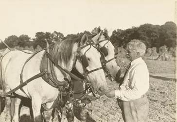 Uten tittel, ca. 1935.