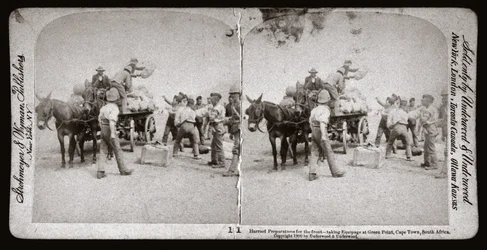 Boer War (Sør-Afrika