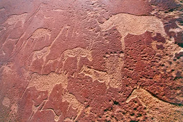 Namibia, Damaraland villmarksområde, Twyfelfontein, Brandberg-fjellene, steinaldergraveringer