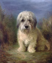 Dandie Dinmont Terrier (olje på lerret)