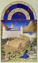 Faksimile av juli: innhøsting og saueklipping, fra «Très Riches Heures du Duc de Berry»