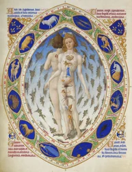 Hertugen av Berrys Très Riches Heures: Anatomisk mann