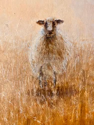 Favoritt Ewe