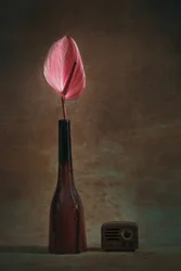 Elegant Anthurium og Radio