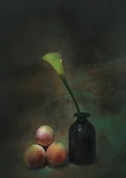 Stilleben med en stemningsfull calla-lilje