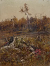 Landskap