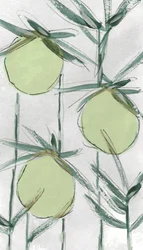 Fresh Green Botanicals