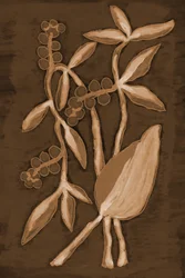 Organiske Sepia Botanicals