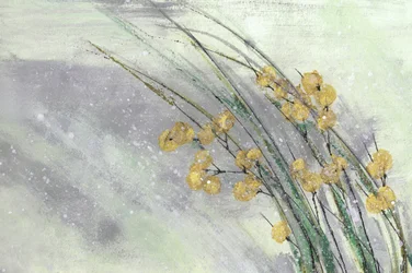 Myke gule blomster