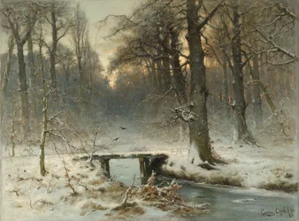 En januarkveld i Haag-skogen