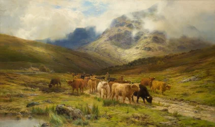 Forlater åsene