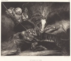 Tigerangrep