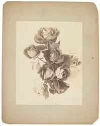 Tiffany Studios, ca. 1898-1920 (fotografi s/h)