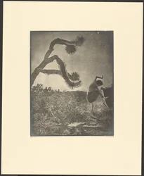 Apache-dans