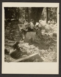 [Par leser avis i skogen]